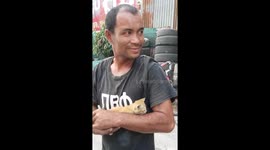 Truck driver uses hydraulic lift to rescue kitten stuck under bridge