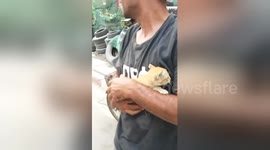 Truck driver uses hydraulic lift to rescue kitten stuck under bridge