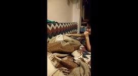 Attention! The coverlet can bite!