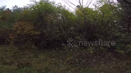 Exploring the Stevenson Creek Chimney Ruins