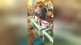 Tourist's hilarious reaction to having his first-ever fish pedicure