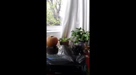 I've got all the essentials ready for Ophelia's visit :D #StormOphelia #ophelia #ireland https://t.co/uClSU7P1bR