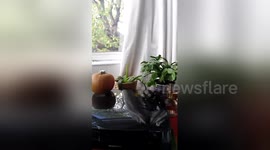 Newsflare Edit - I've got all the essentials ready for Ophelia's visit :D #StormOphelia #ophelia #ireland https://t.co/uClSU7P1bR