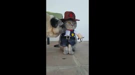 When you're the Sheriff in town but they don't respect your authority