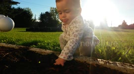Baby in Clean White Clothes Digs in Dirt + Dog