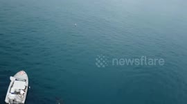 Shark attacks boat (full length)