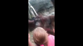 Kids playing with orangutans