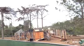 The Haunted Trail - Balboa Park