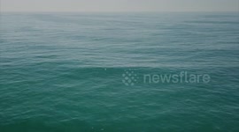 A morning on the Gold Coast