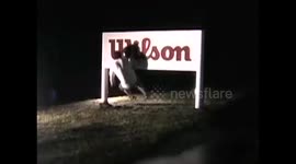 Man keeps running into a metal sign