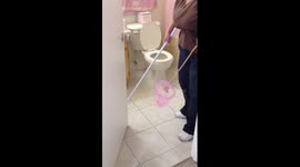 Experiencing a lizard in the house for the first time in Florida