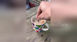 Newsflare Edit - Youtuber Makes Tea With Explosives ,(wait till end)