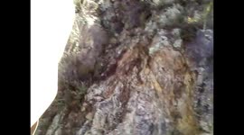 México. Real de 14 a Estación 14. Trayecto en Willy 4x4 de los 50. 2014. Toma (1)