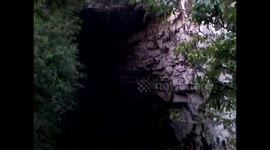 México. Santuario-Sotano de las Hua Huas. Exit swallows birds. Salida de las aves. Toma 1. 2014