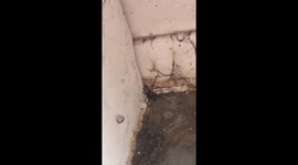 Would you burn your house down ?