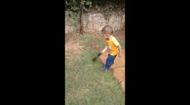 Toddler cleaning the yard