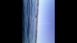 México-Mazunte. Whales. Avistamiento de ballenas. 2014.11.15. Toma (1)