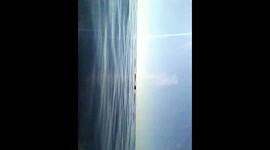 México. Mazunte. Whales. Avistamiento de ballenas. 2014.11.15. Toma (5)