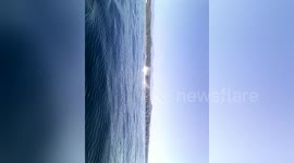 Newsflare Edit - México. Mazunte. Whales. Avistamiento de ballenas. 2014.11.15. Toma (3)