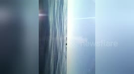 Newsflare Edit - México. Mazunte. Whales. Avistamiento de ballenas. 2014.11.15. Toma (5)