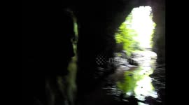 Panamá. Bocas del Toro. Isla Colón. Cave full of bats, bugs and insects. Gruta con murciélagos y bichos. 2014