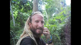 Panamá. Ciudad de Panamá. Parque metropolitano. Empty insects shells. Insectos vacíos. 2014