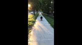 Ben’s balance bicycle