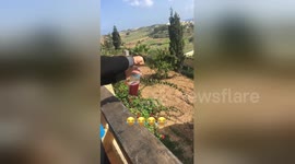 Newsflare Edit - When you  leave a bottle in a lugagge for too long