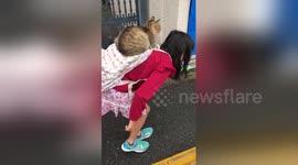 Schoolgirl gives stray cat a piggyback