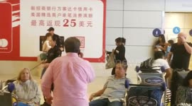 LAX PD K9 Bomb-sniffing dog at work