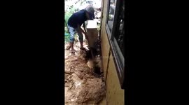 Puppies rescued after four days trapped under flooded building