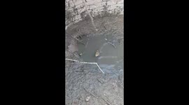 Villagers in trouble for torturing baby crocodile, posing for selfies