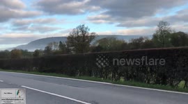 WRC Wales 27/10/17 Nr Newtown.