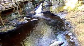 Bushkill Falls State Park (stream)