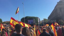 Manifestación por la unidad de España y su Constitución