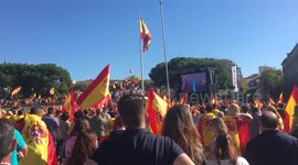 Manifestación por la unidad de españa y su constitución