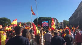 Manifestación por la unidad de España y su constitución