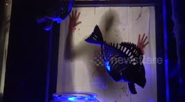 scary house with shadow of person in window