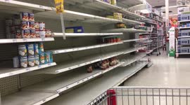 No food on shelves in Puerto Rico
