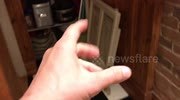 temp