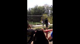 Sneaky alligator trying to eat the zoo keeper