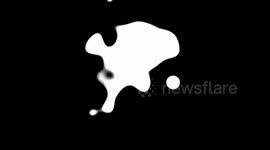 Longboarder hits sheep mid raw run