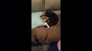 temp
