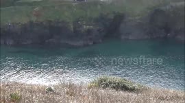 Port Gaverne in November