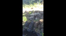 man thought it was deep water