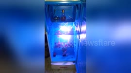 Thai man converts fridge into fish tank to prank guests