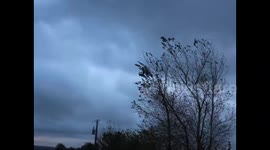 Storm Ophelia eye passes showing different change in wind direction