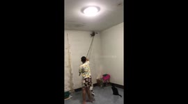 Woman screams in fright when lizard is knocked down from wall