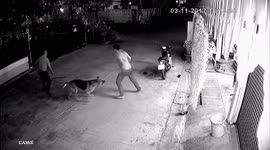 Loyal pet dog helps owner being attacked in the street