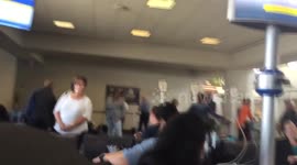 Cat fight in Newark airport part 2